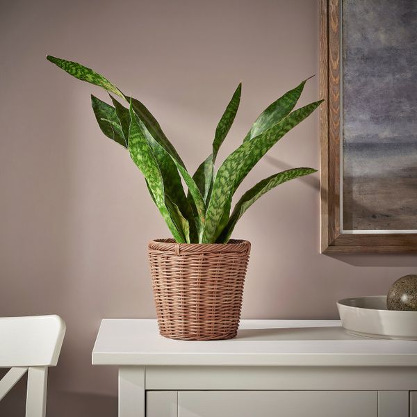 Кашпо, ротанг 15 см IKEA KAKTUSFIKON КАКТУСФИКОН 904.968.69 - фото 2