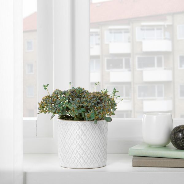 Кашпо, белый, 9 см IKEA CHIAFRÖN ЧИАФРЁН 004.419.04 - фото 8