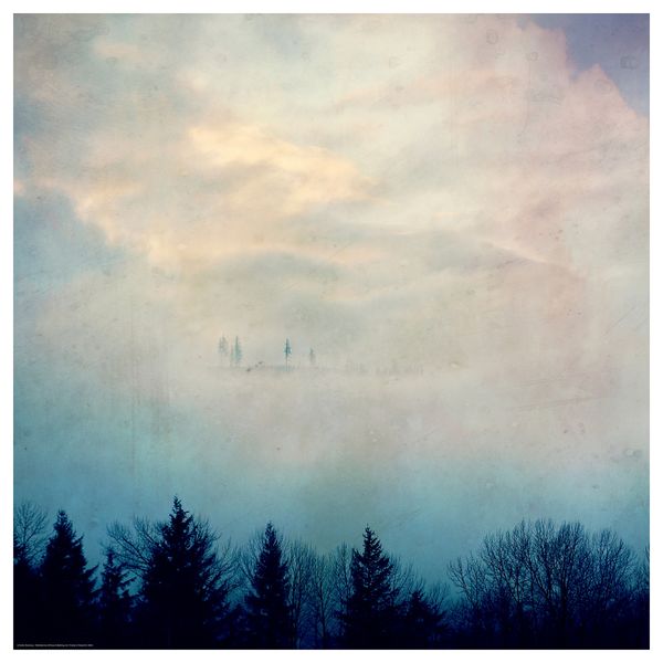 Постер БИЛЬД, Небо и лес (50x50 см) - фото 1