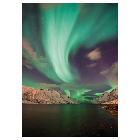 PJÄTTERYD Картина - Аврора III 50x70 см