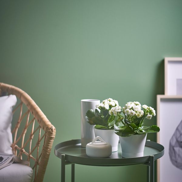 Кашпо, белый 9 см IKEA PAPAJA ПАПАЙА 104.216.89 - фото 3