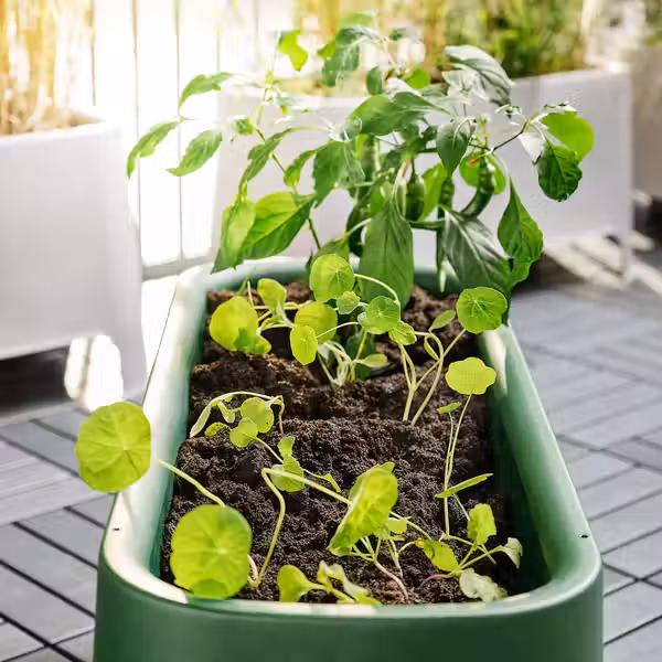 ASPAREN Кашпо - зеленый для сада 89x38 см - фото 2