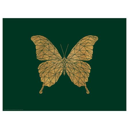 Постер, Бабочка, 40x30 см IKEA DRÖMBILD ДРЁМБИЛЬД 604.361.17