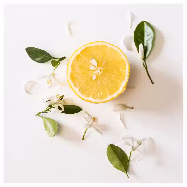 FRÖFINK ФРЁФИНК Ароматическая цветочная отдушка - схема-чертеж с размерами