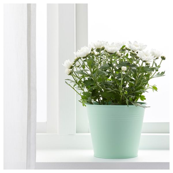 Кашпо СОККЕР, д/дома/улицы, светло-зеленый - фото 2