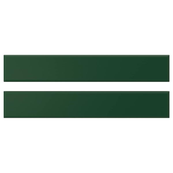 Фронтальная панель ящика, темно-зеленый 60x10 см IKEA BODBYN БУДБИН 204.446.52 - фото 1
