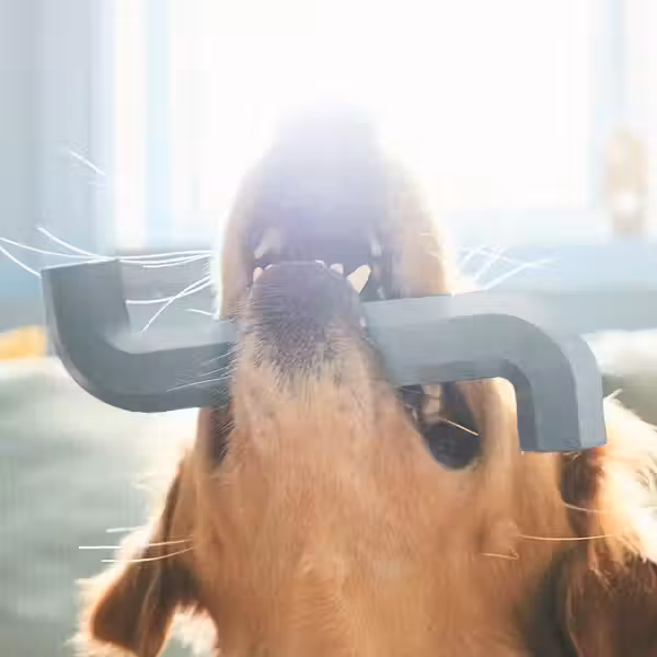 UTSÅDD УТСОДД Игрушка для собаки - серо-синий - фото 3