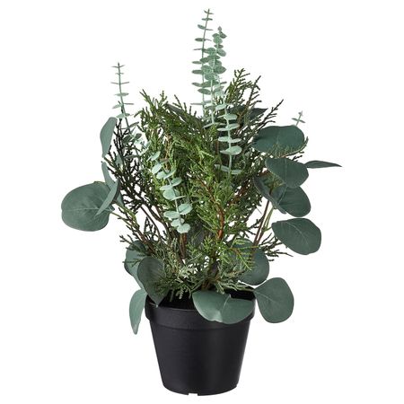 Искусственное растение в горшке, для дома, улицы оформление/зеленый 12 см IKEA FEJKA ФЕЙКА 704.684.95