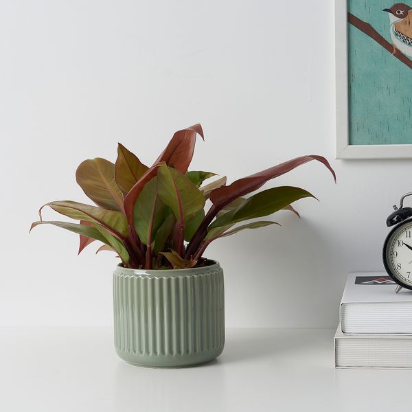 Кашпо, темная бирюза, 12 см IKEA STILREN СТИЛРЕН 005.979.95 - фото 2