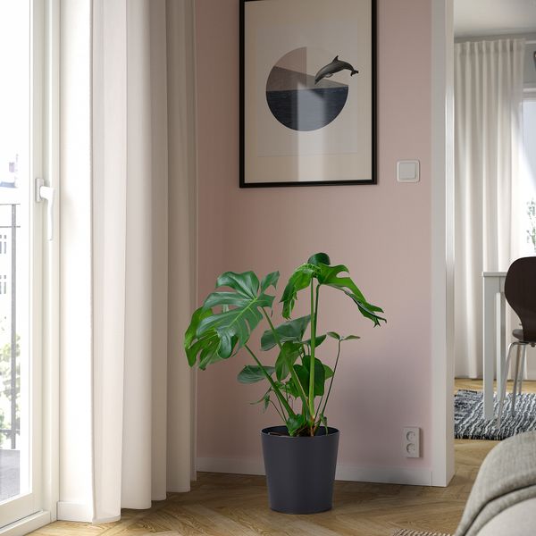 Кашпо, 24 см, для дома, улицы антрацит IKEA VITLÖK ВИТЛОК 705.359.75 - фото 3