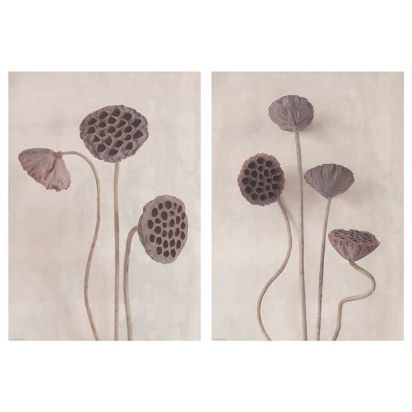 Постер, 50x70 см, Цветы в винтажном стиле IKEA DRÖMBILD ДРЁМБИЛЬД 305.544.52 - фото 2