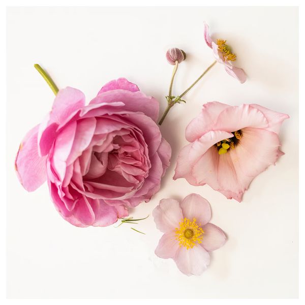 IKEA, дополнительный ракурс - схема-чертеж с размерами