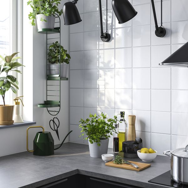 Настенная подставка для кашпо, темно-зеленый, 78 см IKEA SKUGGRÖNA 005.620.19 - схема-чертеж с размерами