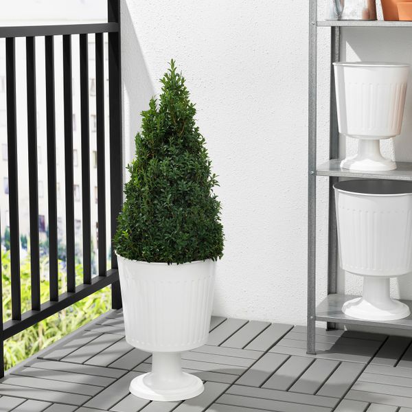 Вазон, для дома, улицы белый 24 см IKEA ЦИТРОНМЕЛИСС 304.645.12 - фото 2