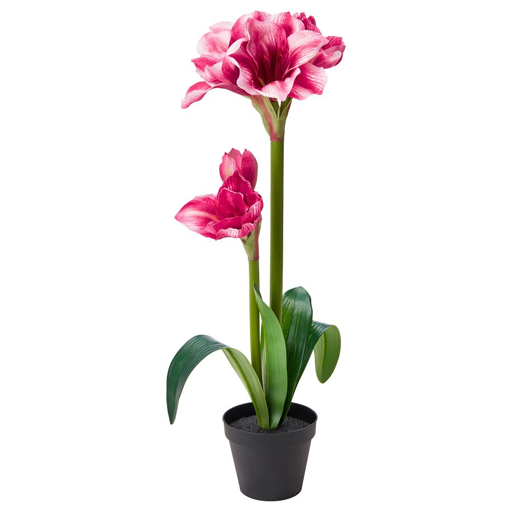 Искусственное растение в горшке ФЕЙКА, Амариллис розовый (12 см) - фото 1