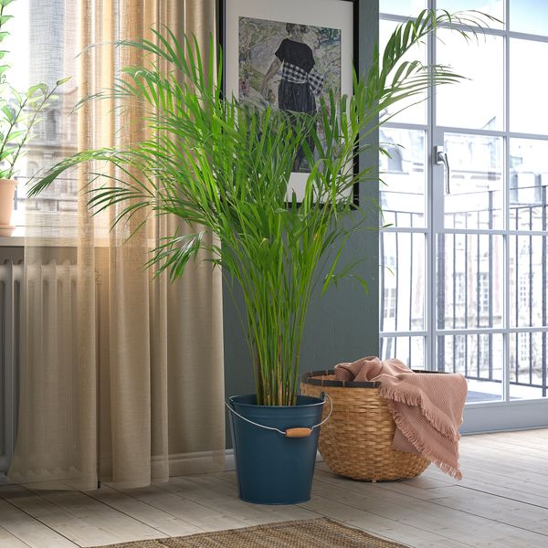 Ведро-горшок, для дома, улицы темно-синий, 10 л IKEA ÅKERBÄR 805.847.91 - фото 3