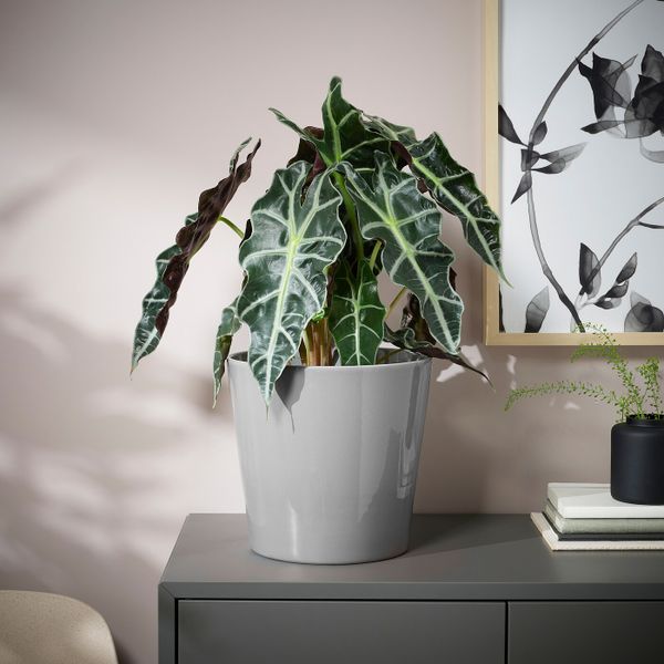 Кашпо, для дома, улицы серый 19 см IKEA SKOGSVINBÄR СКОГСВИНБЭР 605.108.38 - фото 4