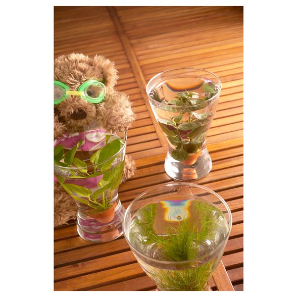 Ваза, прозрачное стекло, 20 см IKEA ВАСЕН 503.717.34 - фото 5