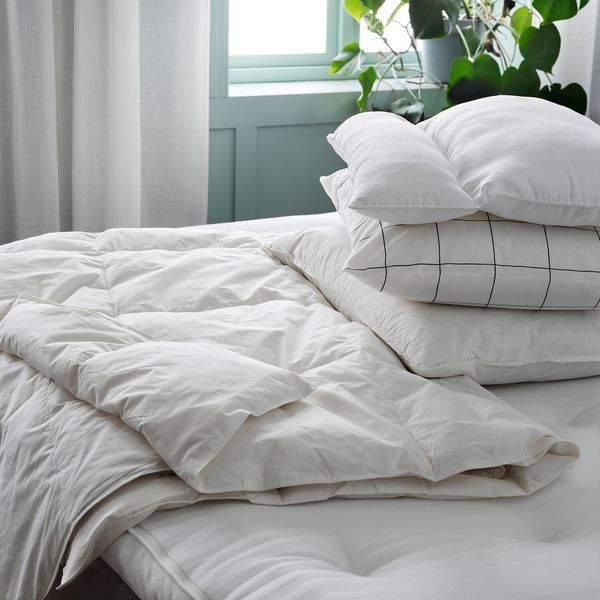 Эргономичная подушка, универсальная, 50x60 см IKEA NÄBBSTARR НЭББСТАРР 605.133.18 - схема-чертеж с размерами