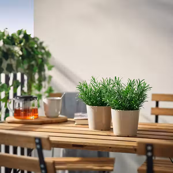 FEJKA Искусственное растение в горшке - д/дома/улицы/Розмарин 9 см - фото 2