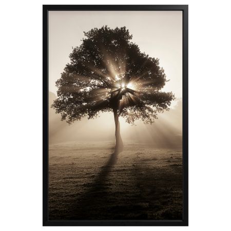 Картина с рамой, 78x118 см, Солнечные полоски, черный IKEA BJÖRKSTA БЬЁРКСТА 594.716.54