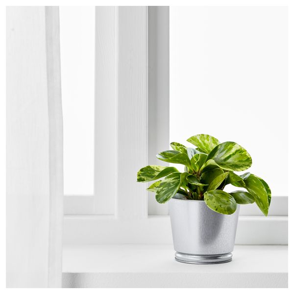 Кашпо БИНТЬЕ, оцинковка (10.5 см) - фото 2