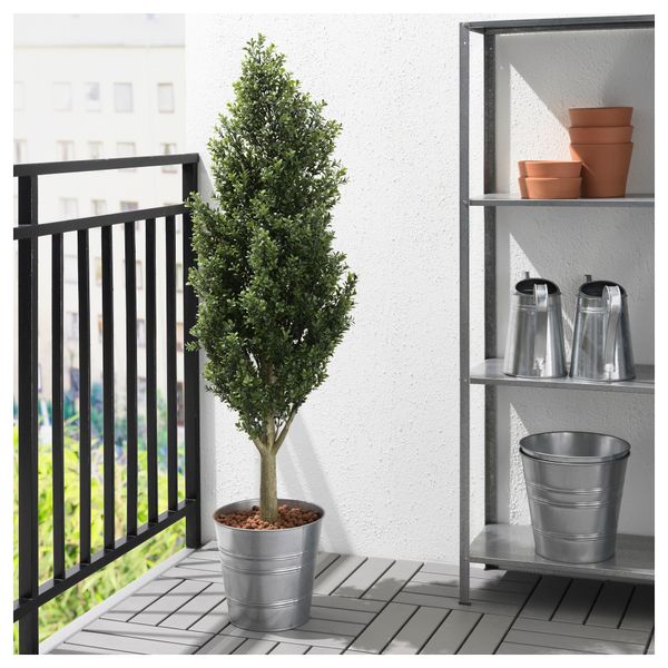 Искусственное растение в горшке ФЕЙКА, д/дома/улицы, Муррайя (21 см) - фото 2