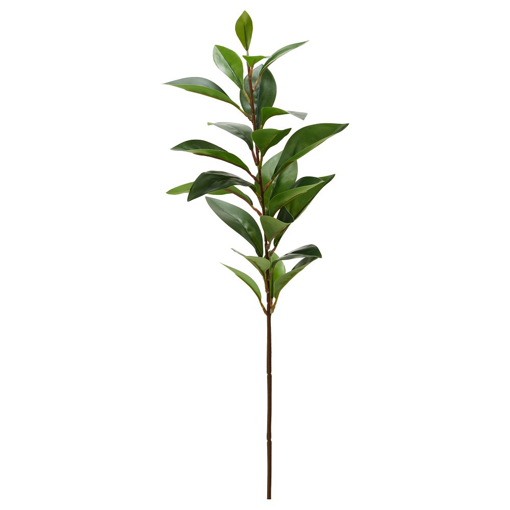 Цветок искусственный СМИККА, Рускус, зеленый (57 см) - фото 1