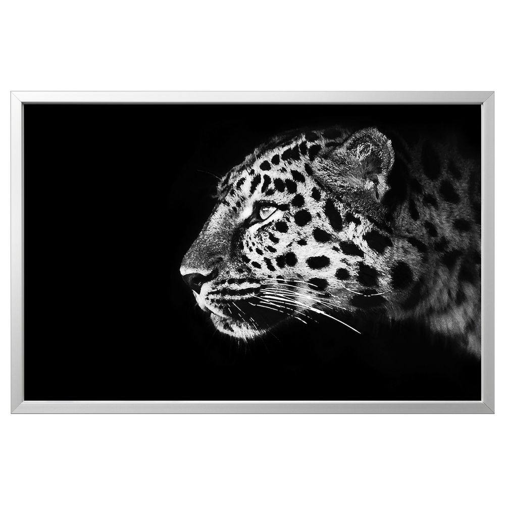 Картина с рамой, Гепард/цвет алюминия 118x78 см IKEA BJÖRKSTA БЬЁРКСТА 294.163.29 - фото 1
