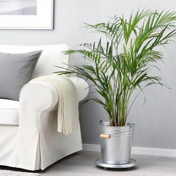 Ведро/горшок, для дома, улицы/оцинковка 10 л IKEA SOCKER СОККЕР 705.114.46 - фото 3