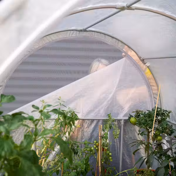 ASPAREN Теплица - прозрачный белый 123x190x190 см - фото 4