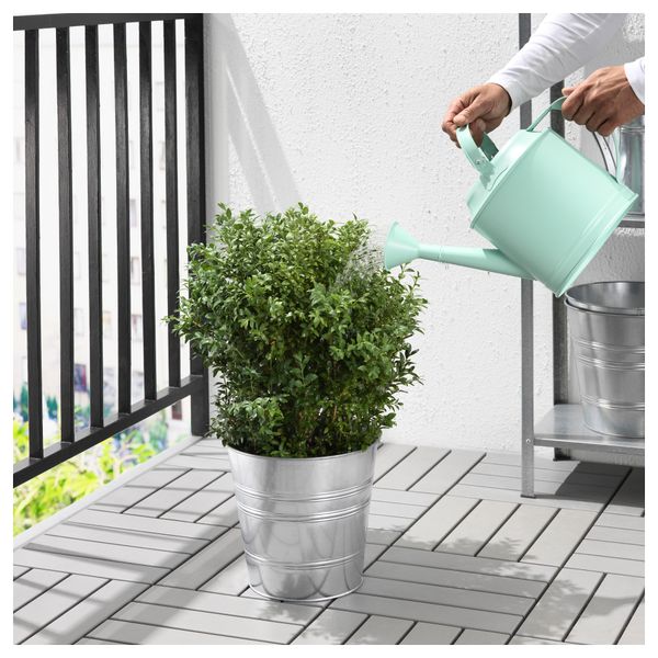 Лейка СОККЕР, д/дома/улицы, светло-зеленый (5 л) - фото 2