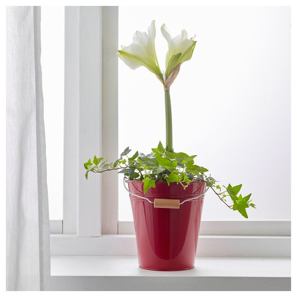 Ведро/горшок СОККЕР, д/дома/улицы, красный (2.5 л) - фото 3