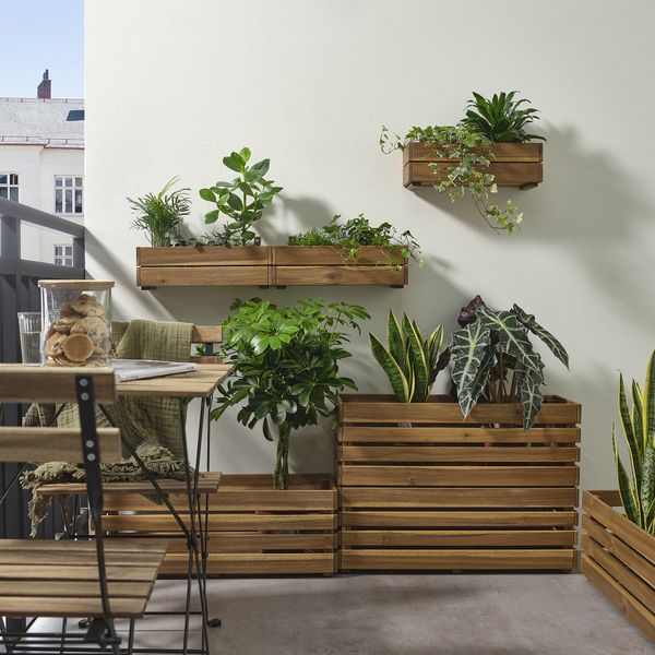 Ящик для цветов, для сада акация, 43x15 см IKEA STJÄRNANIS СТЭРНАНИС 605.847.73 - фото 3