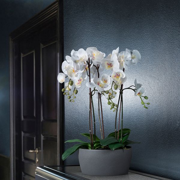 Кашпо, 25x12 см, темно-серый IKEA PERSILLADE ПЕРСИЛЛАДЕ 804.825.18 - фото 4