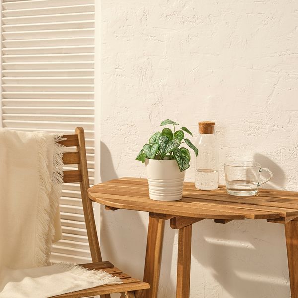 Искусственное растение в горшке, для дома, улицы Кавказская незабудка, 9 см IKEA FEJKA ФЕЙКА 105.825.02 - фото 5