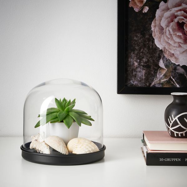 Стеклянный клош на подставке, 16 см, прозрачное стекло, черный IKEA SKÖNJA СКЁНЬЯ 004.976.89 - фото 4