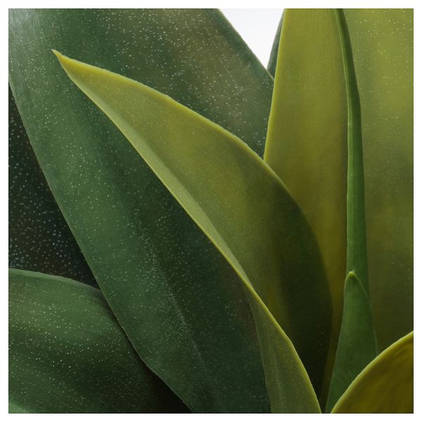 Искусственное растение в горшке ФЕЙКА, Агава (15 см) - фото 3