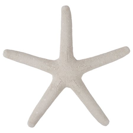 Настенное украшение ЭНКЕЛЬХЭТ, морская звезда белый (40x41 см)