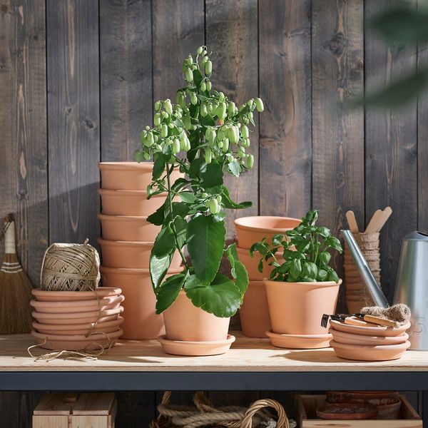 IKEA, вид спереди