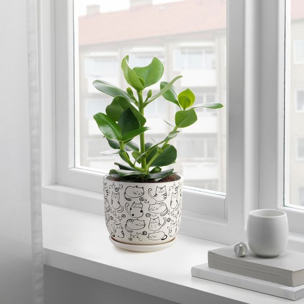 Горшок цветочный, белый/кот 15 см IKEA RUNDMYNTA РУНДМИНТА 804.683.72 - фото 2
