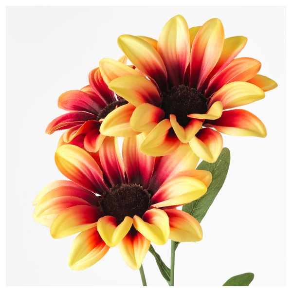 Цветок искусственный СМИККА, Африканская ромашка, желтый (53 см) - схема-чертеж с размерами