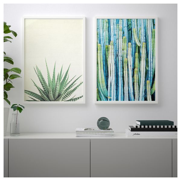 Набор постеров, 2 штуки ТВИЛЛИНГ, Колючие растения (50x70 см) - схема-чертеж с размерами