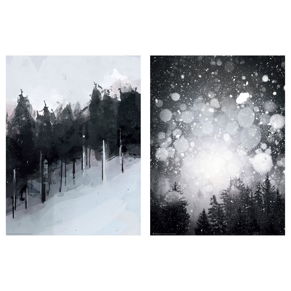 Постер БИЛЬД, Черно-белый лес (30x40 см) - фото 1