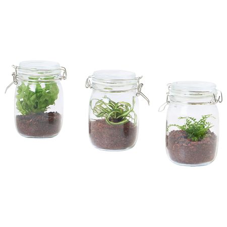 Флорариум, в банке, различные растения 1.1 л IKEA BLADVERK БЛАДВЕРК 104.862.80