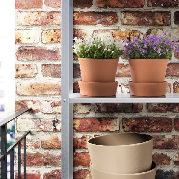 Растение в горшке, колокольчик 10.5 см IKEA КОЛОКОЛЬЧИК ПОРТЕНШЛАГА 104.919.03 - фото 3