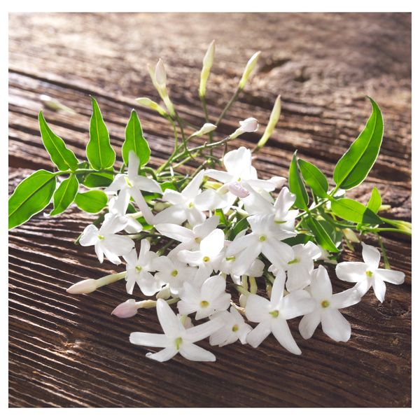 Формовая свеча, ароматическая, 3 шт КОРНИГ, дерево, серый - схема-чертеж с размерами