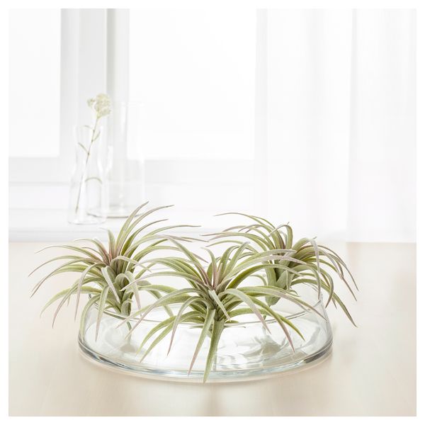 Искусственный аэрофит СМИККА, Тилландсия, зеленый (10 см) - фото 2