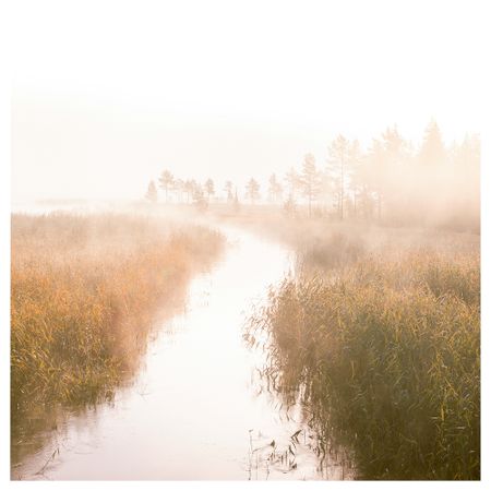 Картина СНОСТОРП, В пути (2.5x2.5 м)