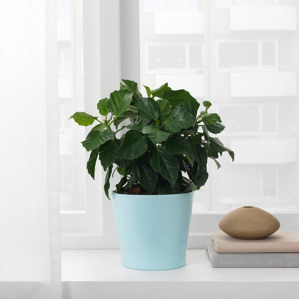 Кашпо, голубой 12 см IKEA PAPAJA ПАПАЙА 604.216.96 - фото 2